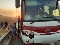 Автобус «Черноморское-Новороссийск» насмерть сбил женщину у Крымского моста 