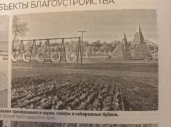 Никакого праздника: новороссийцы пожаловались на мусор и запущенные территории