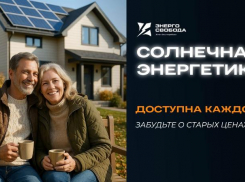 Товар дня. Солнечная электростанция для дома 197 000₽ в компании «ЭнергоСвобода»