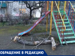 Юные новороссийцы учат администрацию, как нужно работать