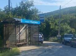 «Ездит, как хочет!»: жители Новороссийского района не могут «поймать» маршрутку