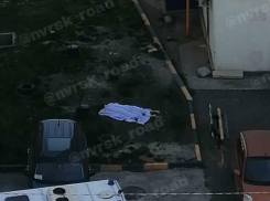 Не для слабонервных: из окна МКД в Новороссийске выпала девочка
