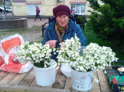 Что общего между краснокнижниками и новороссийскими бабушками? — 9 лет тюрьмы за истребление редких растений