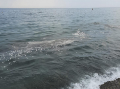 «Купайтесь на здоровье в нефтепродуктах!» - на пляже под Новороссийском заметили непонятную плёнку