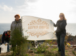 Сохраняя природу для потомков: Фонд «Жизнь Абрау-Дюрсо» восстанавливает реликтовый лес 