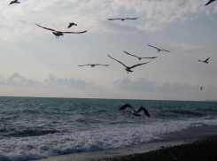 Погода в Новороссийске: воскресенье может разрушить планы 