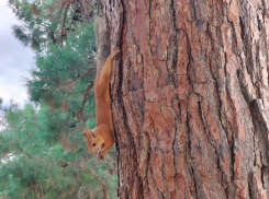 Гороскоп от «Блокнота»: Тельцам – заняться финансами, Ракам – посвятить день творчеству