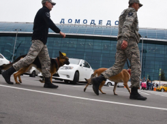 «Минирование» рейса «Москва-Геленджик»: злоумышленники «кошмарят» аэропорты   