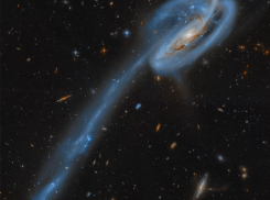 Гороскоп от “Блокнота” на 16 июля: Раков ждут неожиданности, а Весам стоит проявить выдержку