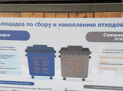 Как сделать гору из мусора на Щелбе меньше? С чего экологи предлагают начать новороссийцам