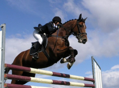 Вернулась с золотом по конному спорту жительница Новороссийска