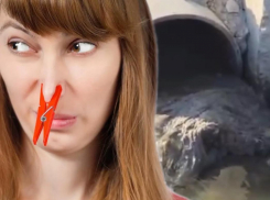 Жителей новостроек Новороссийска заставляют дышать фекалиями 