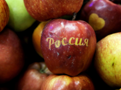 Впервые российские яблоки пошли на экспорт через Новороссийск