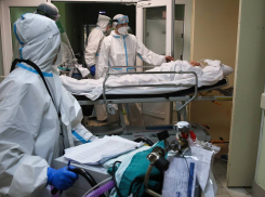 Коронавирус продолжает губить здоровье жителей Новороссийска 