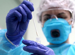 Еще 20 жителей Новороссийска слегли с коронавирусом 
