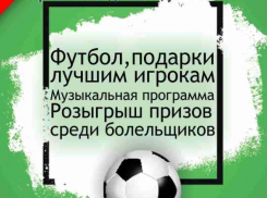 Летний кубок по мини-футболу пройдёт в Новороссийске