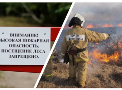 Дороги в лес закрыты для новороссийцев 