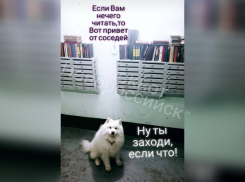 Жильцы одной из многоэтажек Новороссийска устроили в подъезде буккроссинг