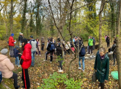 Больше полусотни новороссийцев по собственной воле ушли в лес