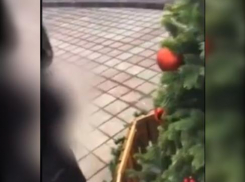 Подросток помочился на ёлку в центре Новороссийска