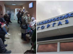 «Пусть выходят круглосуточно!», - жительница Новороссийска удивлена очередями в «Горгазе»