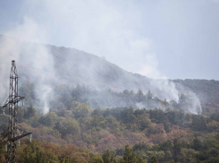 Дым, авиация и лес, сгоревший дотла: фоторепортаж с тушения пожара в Геленджике 