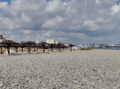 Туристы активно бронируют номера в Новороссийске: занято больше мест, чем год назад