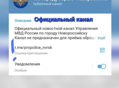 Перебор! У сайта УМВД Новороссийска появился клон с фейковой информацией