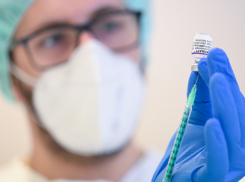 В Новороссийске все спокойно: COVID-19 сбавил обороты в городе-герое 