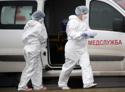 Семеро новороссийцев заразились коронавирусом за минувшие сутки