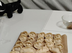 Сколько нужно денег новороссийцам, чтобы отметить день пельменей