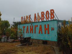 Львы загрызли насмерть работницу «Тайгана» в Крыму: подробности 