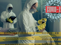 Абсолютный рекорд: 73 человека слегли с ковидом в Новороссийске 