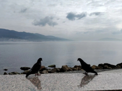 Гороскоп от «Блокнота»: Рыбам проявить любовь к себе, а Близнецам научиться слушать 