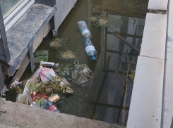 Амброзия - это ещё не самое страшное. Как живут в элитном ЖК Новороссийска