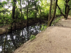 Центр по гидрометеорологии вынес решение по наличию или отсутствию водоёмов в Пионерской роще