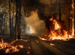 В Новороссийске не время для разведения огня