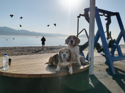 Гороскоп от «Блокнота»: Львам довериться интуиции, а Близнецам пора заняться финансами