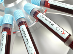 COVID-19 в Новороссийске: сколько новых зараженных среди местных жителей 