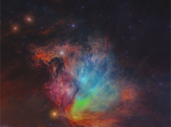 Гороскоп от “Блокнота” на 20 февраля — Львы на нервах, а Скорпионе на продуктиве