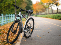 Краденый велосипед нашли в Новороссийске, а потом отправили его обратно в Москву