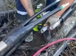 «Подали напряжение 3000 человек»: в Новороссийске – масштабное отключение электричества