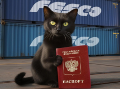 Кот, прибывший из Турции в Новороссийск, вошел в ТОП самых медийных животных в 2025 году 