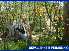 Кладбище домашних животных и приют для бомжей устроили в центре Новороссийска 