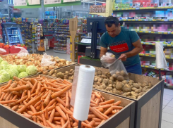 Накормим Беларусь картошкой! В Краснодарском крае экспорт овощей вырос вдвое