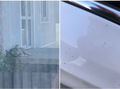 «Вмятины и брызги крови»: шакалы не дают жить новороссийцам 