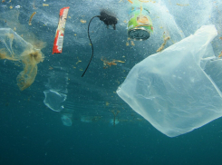 «Мусорный» отпуск: приезжего шокировали грязные улицы и море Новороссийска