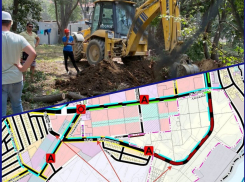 По дороге, под которую рядом с «Ареной» вырубили деревья, пройдут публичные слушания