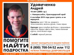 Пять дней в Новороссийске не могут найти подростка