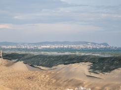 На очистку Чёрного моря выделили ещё 1,4 миллиарда рублей: «мазут» обходится очень дорого 